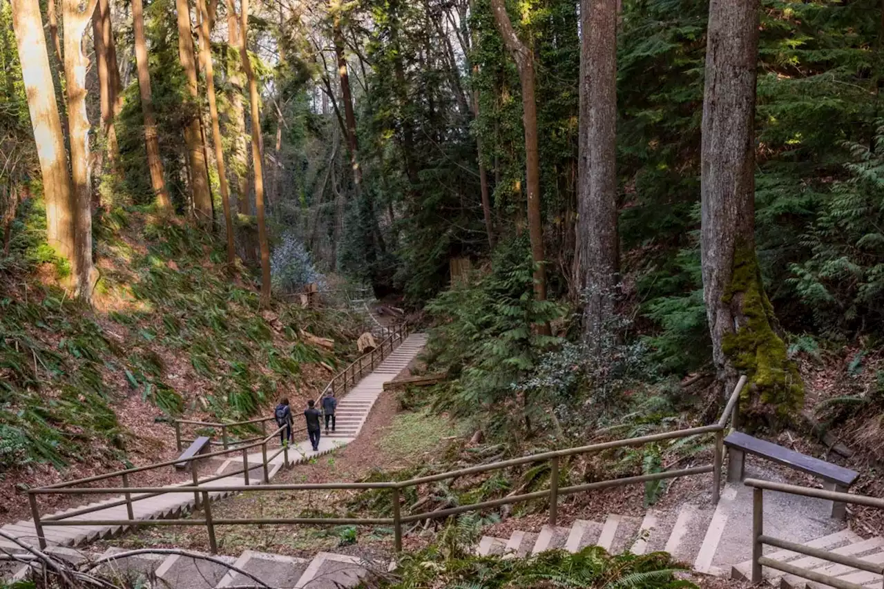 These are Metro Vancouver’s most popular parks