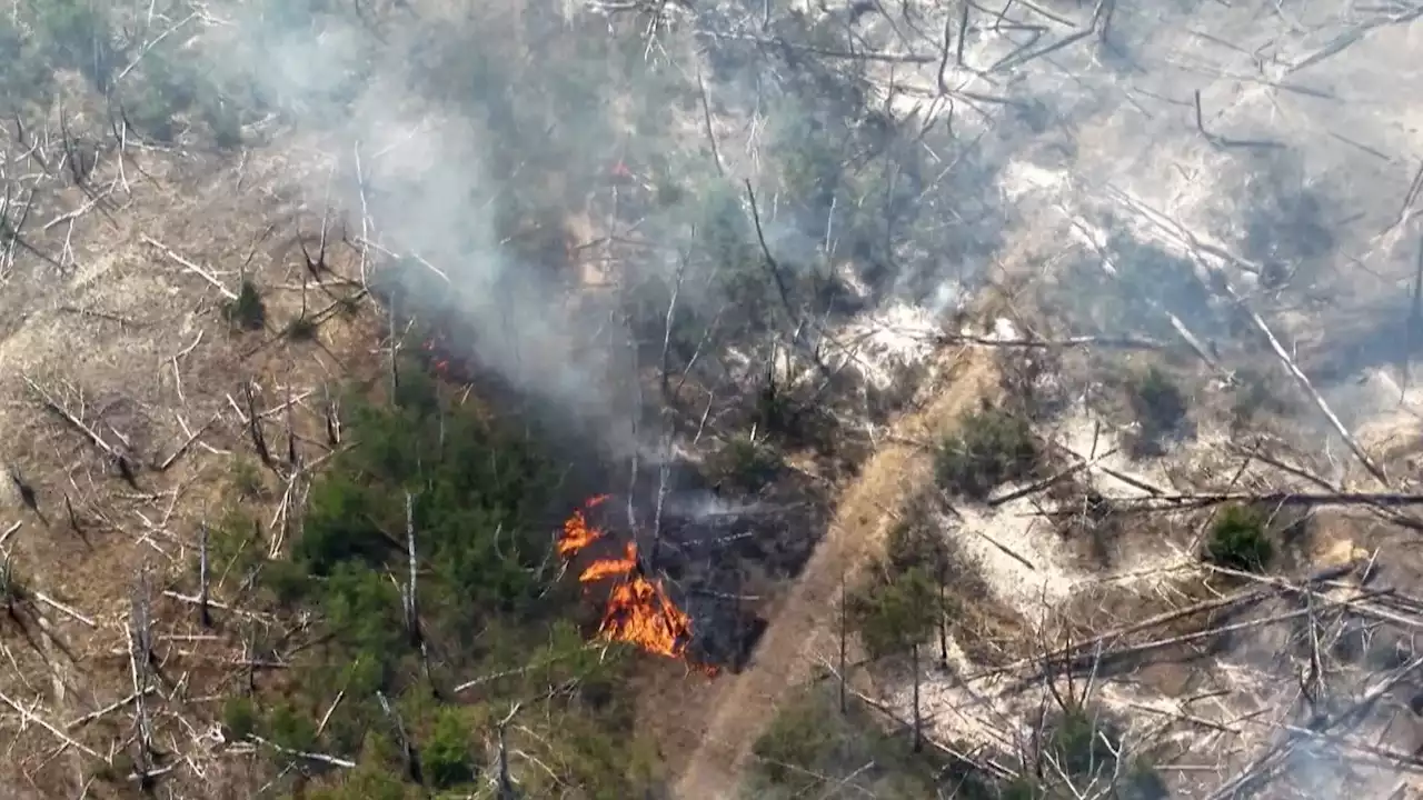 Brandenburg: Löschflugzeug bei Waldbrand in Jüterbog im Einsatz