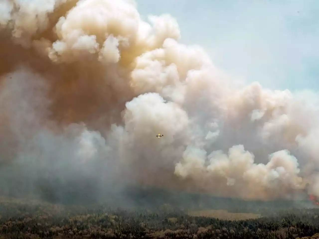 Firefighters from U.S., South Africa to battle Canada's 'unprecedented' fires