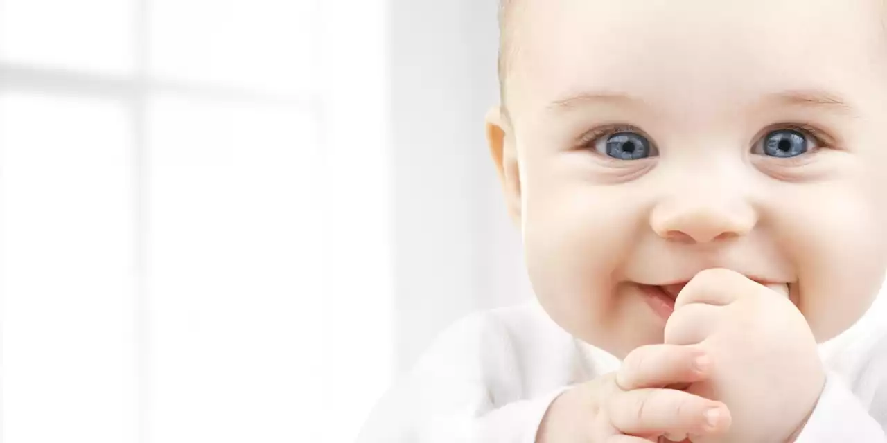 The search is on for the 2023 Gerber Baby – here’s how to apply