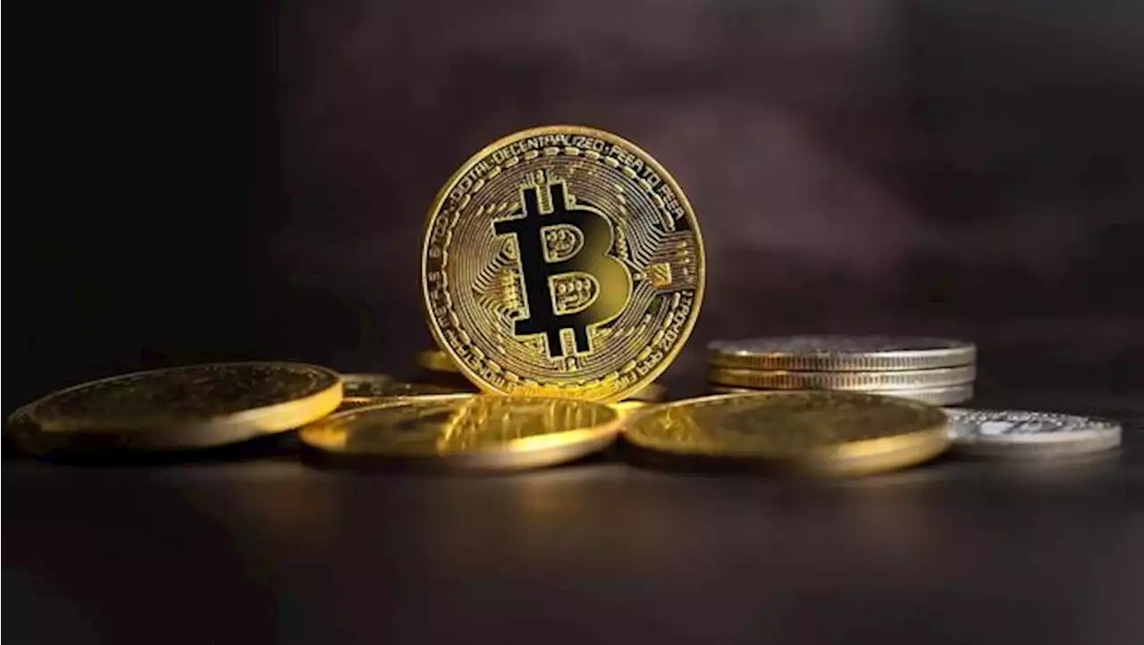 Trader Kripto Full Senyum, Bitcoin dkk Nanjak Terus