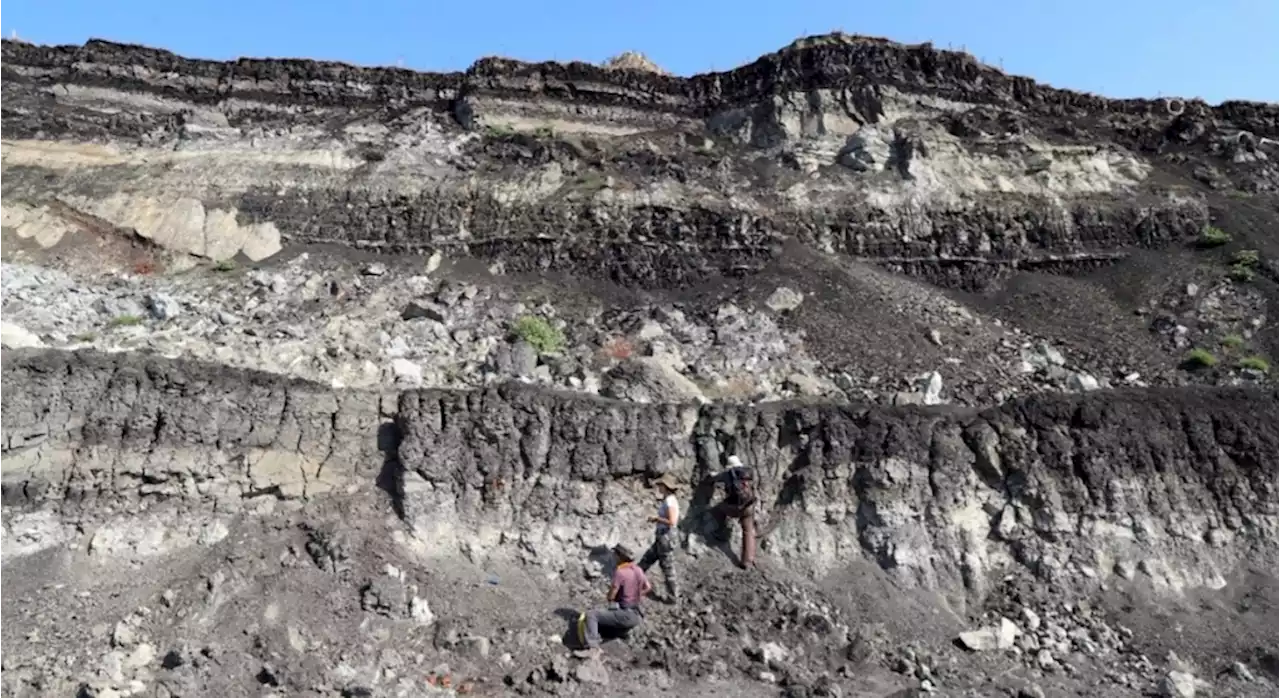 Newly discovered stone tools drag dawn of Greek archaeology back by a quarter-million years