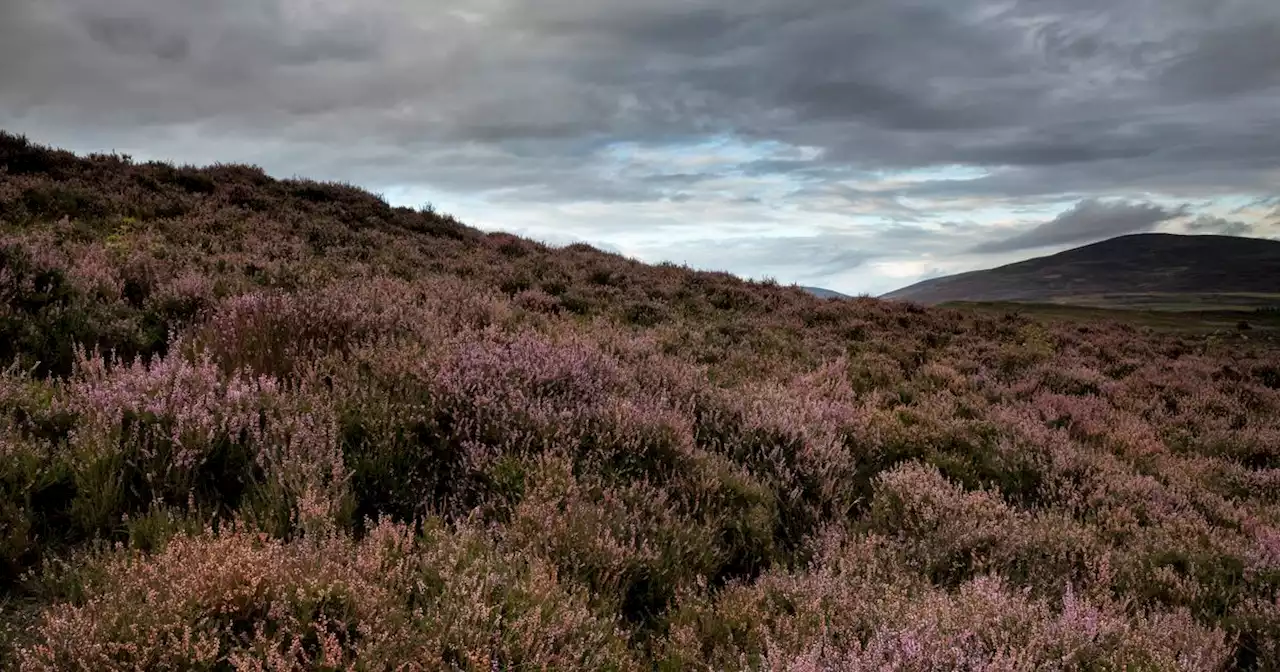 The ghosts in Scotland that 'emerge in June' including phantom piper and hounds