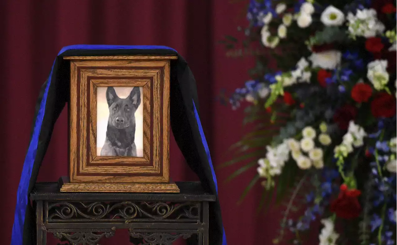 Images: Funeral service for Kane County Sheriff's police dog, Hudson.