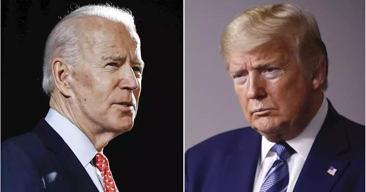 Trump and Biden in dead heat while voters think one has a better chance to win