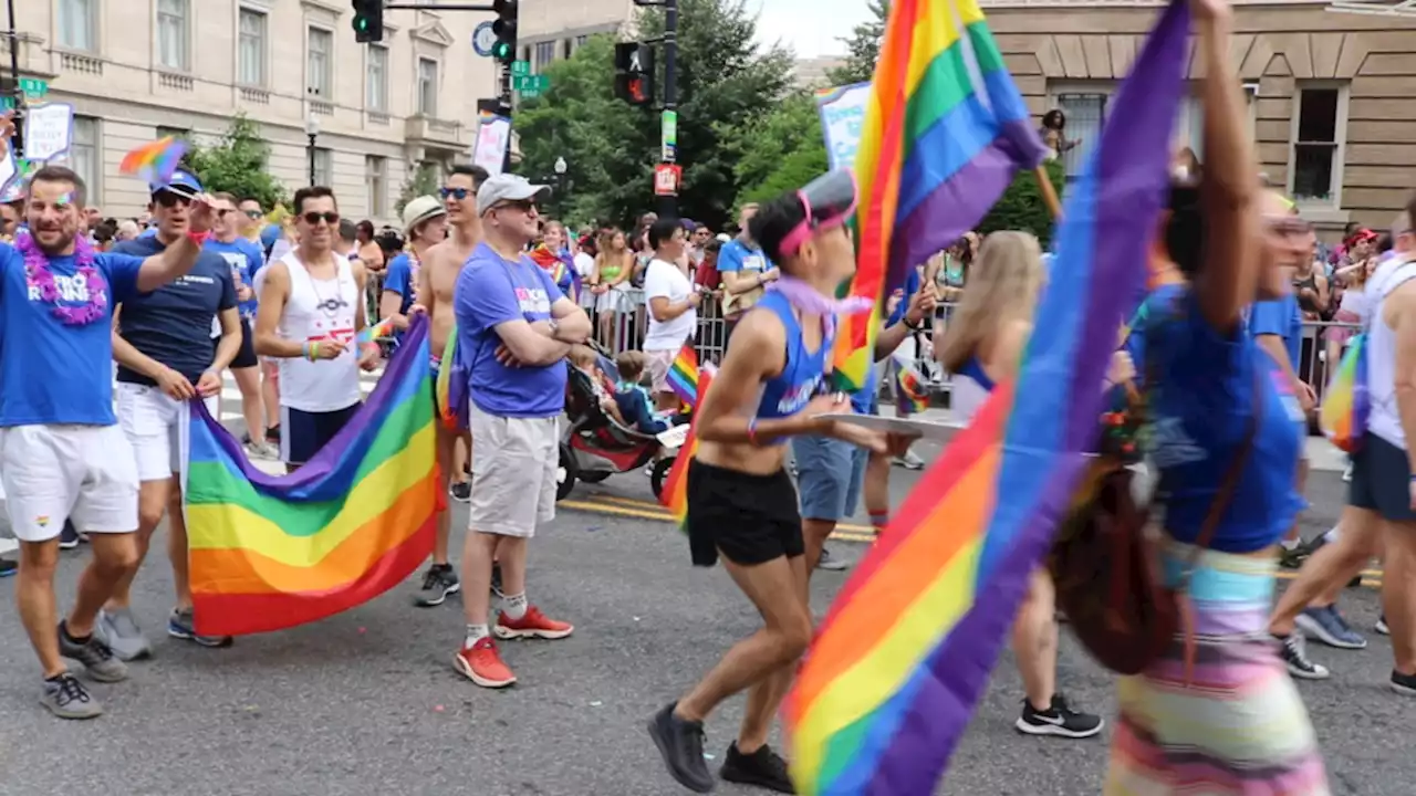 How To Celebrate Pride Around DC