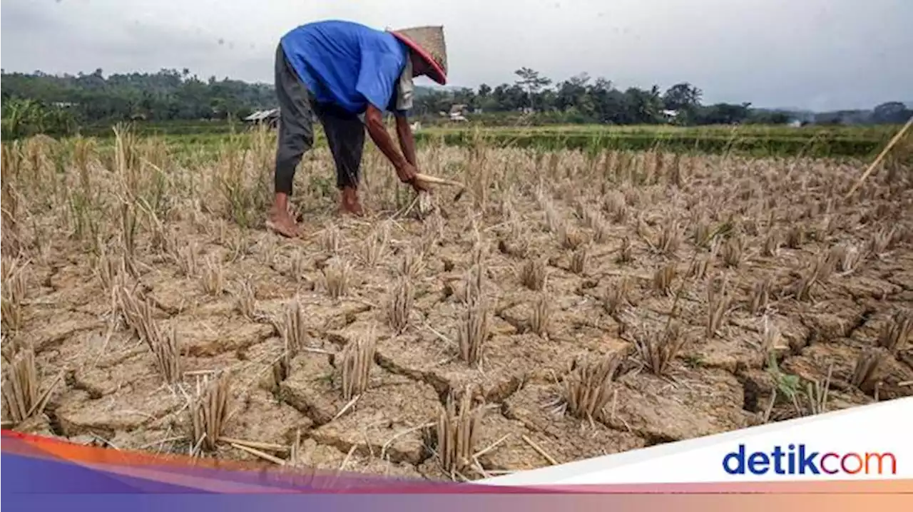 Waspada! Sejumlah Wilayah di Kabupaten Bogor Terancam Krisis Air