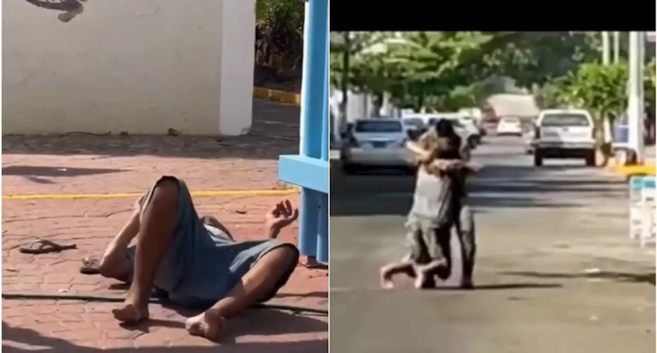 Enjambre de abejas ataca a hombre en situación de calle y militar le salva la vida en Acapulco, VIDEO