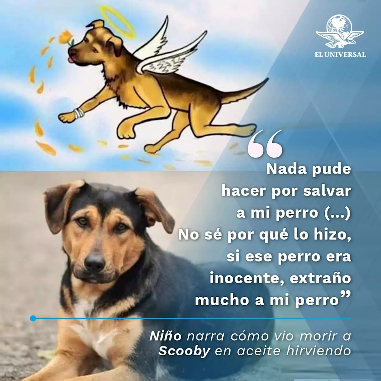 “Nada pude hacer por salvar a mi perro”, niño narra cómo vio morir a Scooby en aceite hirviendo