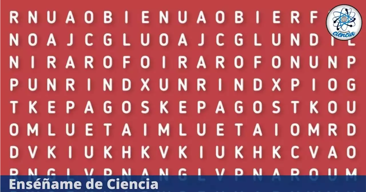 Supera el reto visual de hoy: Encuentra la palabra “CACTUS” en la sopa de letras