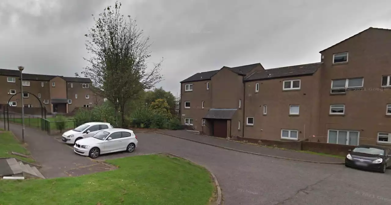 Man fighting for his life after being injured in Dennistoun disturbance