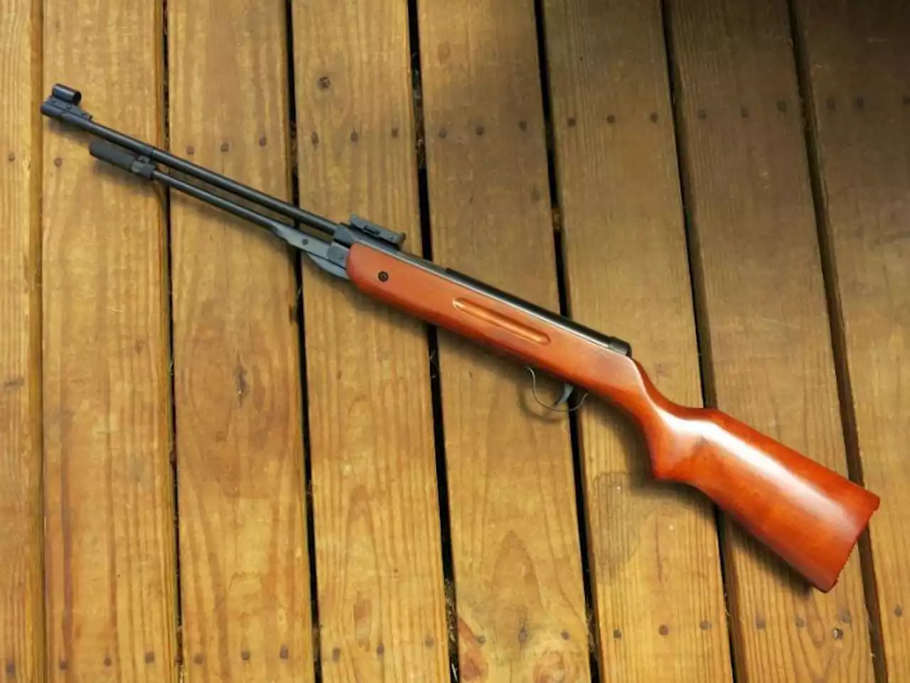 Dog walker 'found an air rifle with a silencer' in Glasgow