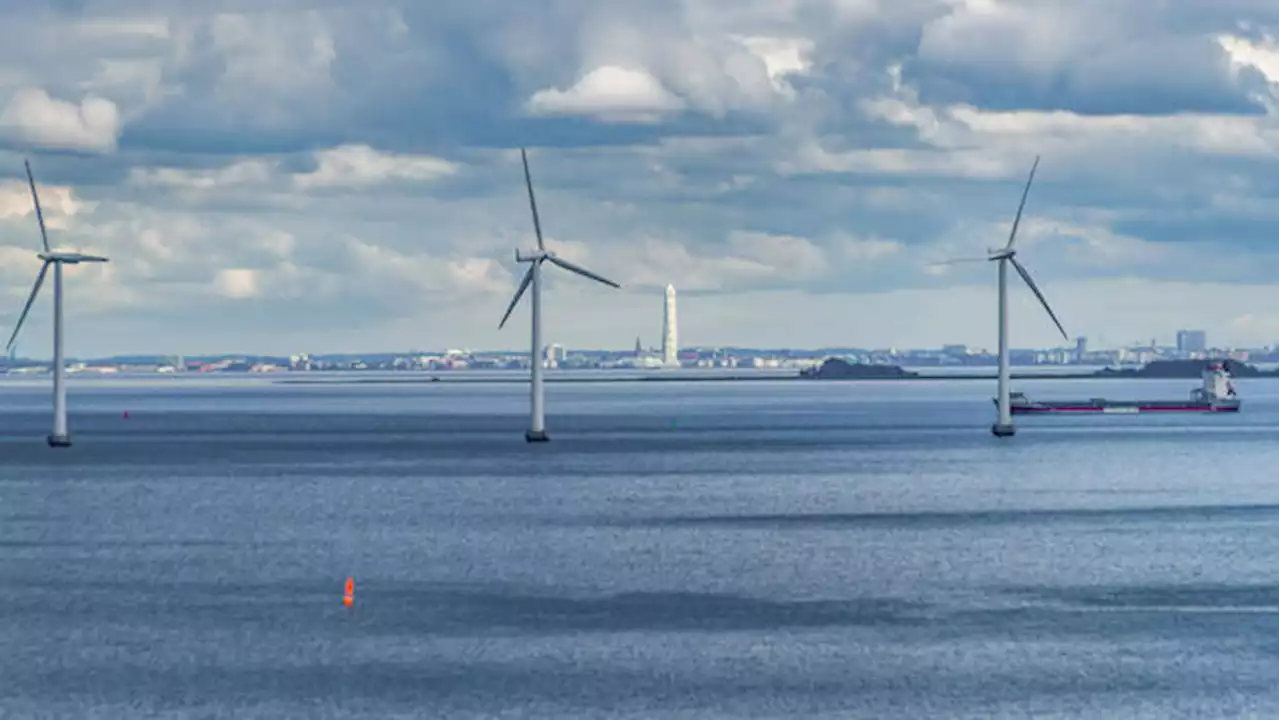 Erneuerbare Energien: Deutschland und Dänemark teilen sich Leitungen für Offshore-Windkraft