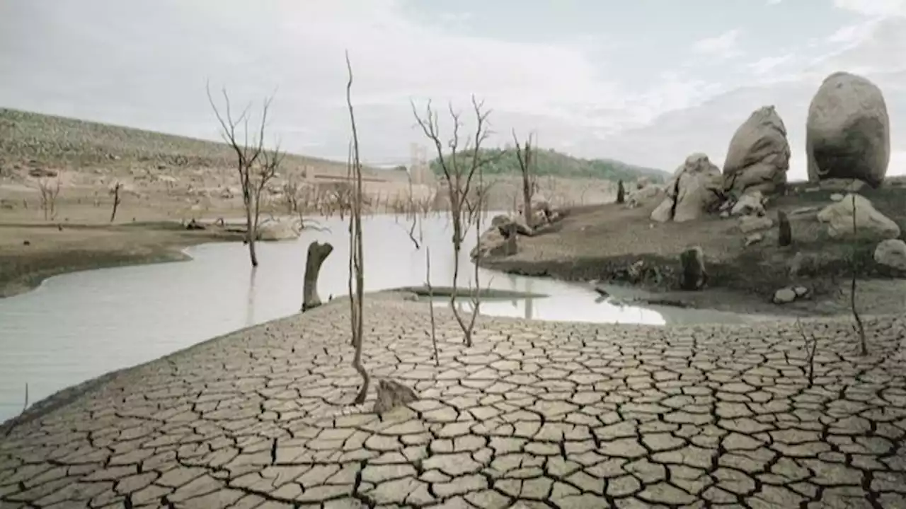 Alerta climática: Se sobrepasan la mayoría de límites que garantizan una vida en la Tierra