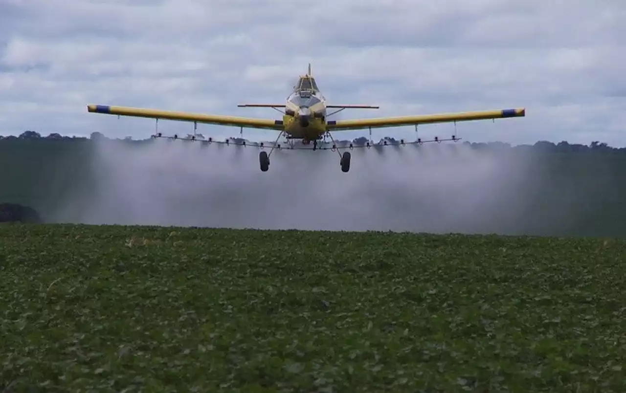 Após liberação recorde de agrotóxicos durante governo Bolsonaro, 'PL do veneno' poderá aumentar ainda mais novas autorizações