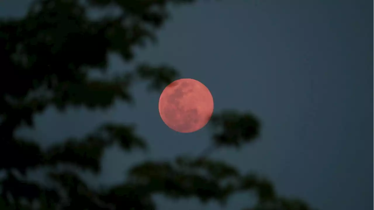 How to see the full 'strawberry moon' in June