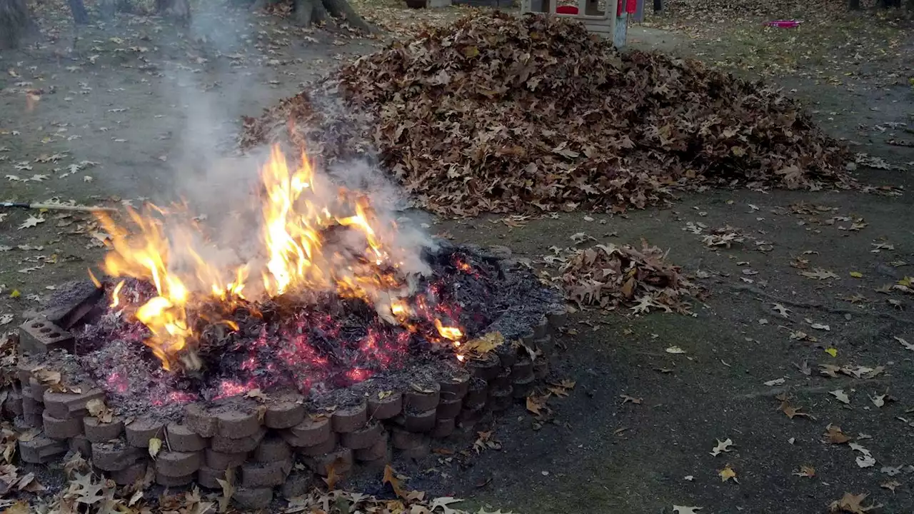 Burn restrictions issued for yard debris, residential burning in King County