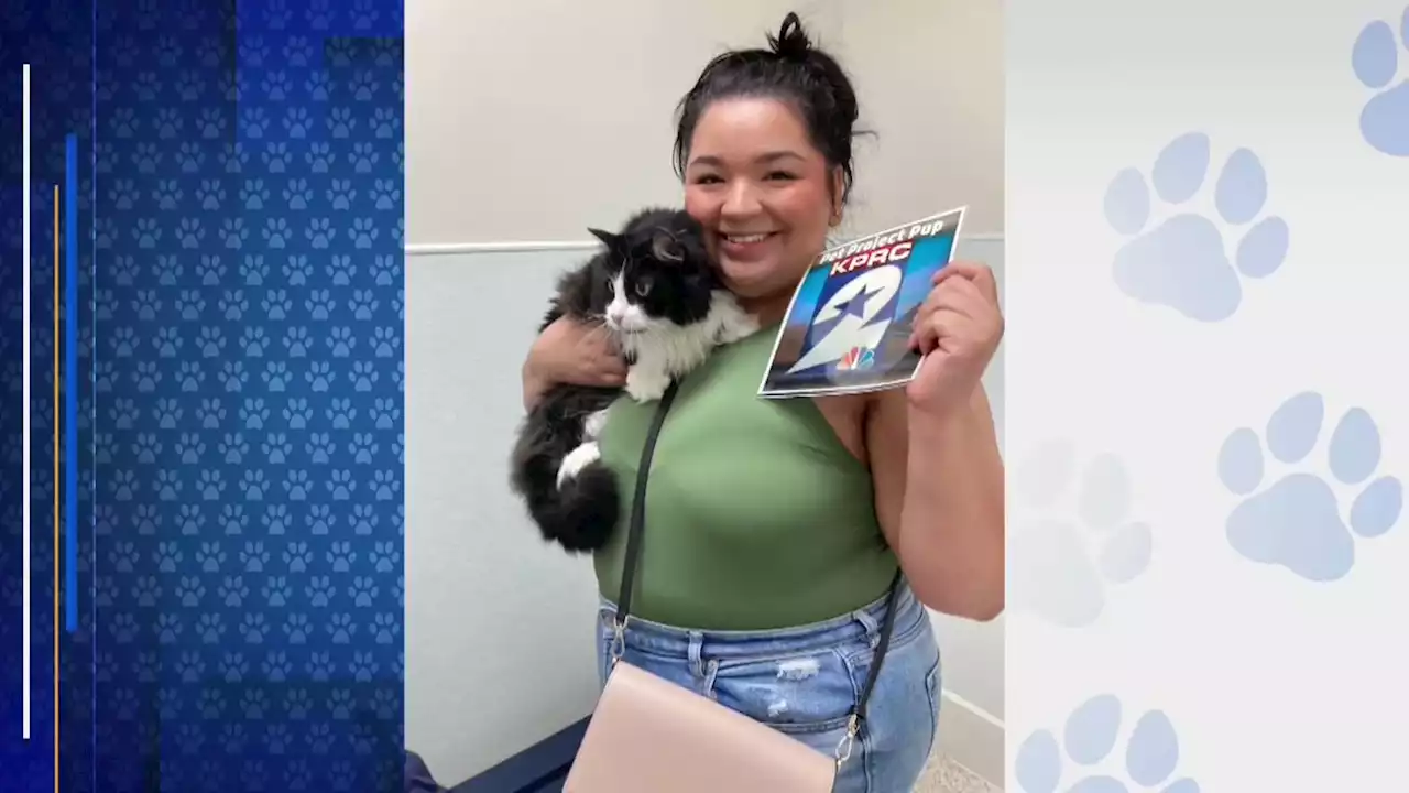 Pets | Click2Houston | KPRC 2