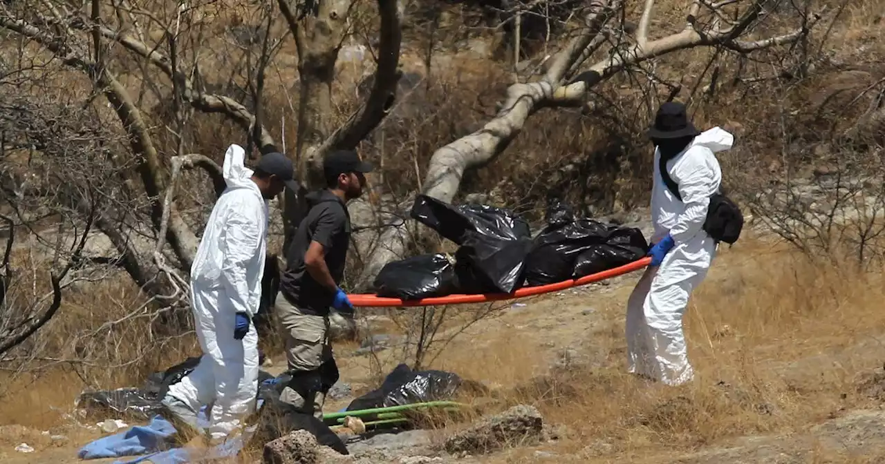 Mexican authorities find 45 bags of body parts outside Guadalajara