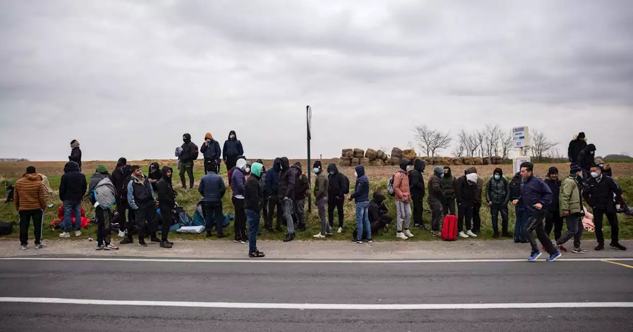 Calais : un campement de 350 migrants évacué