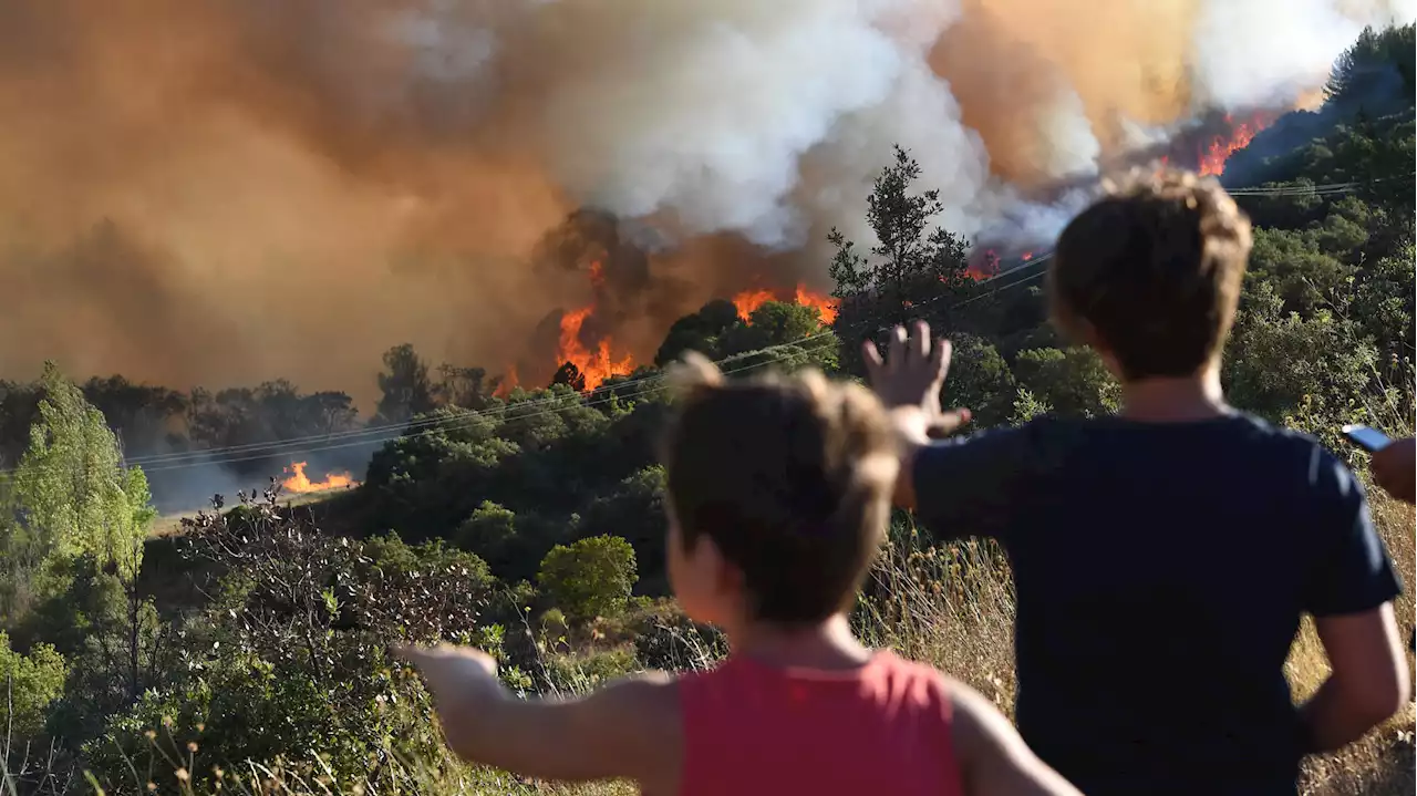 À quoi va ressembler la « météo des forêts » lancée ce vendredi contre les incendies ?