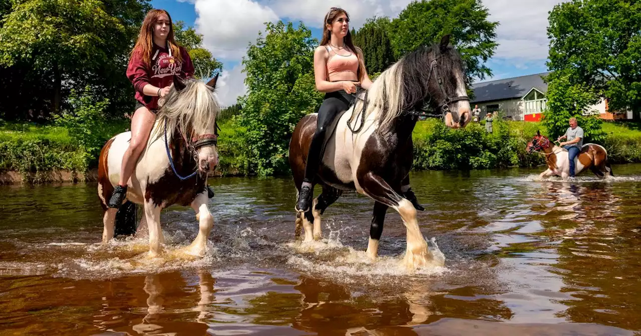 After over 200 years, the horse fair that continues to divide a once-quiet town