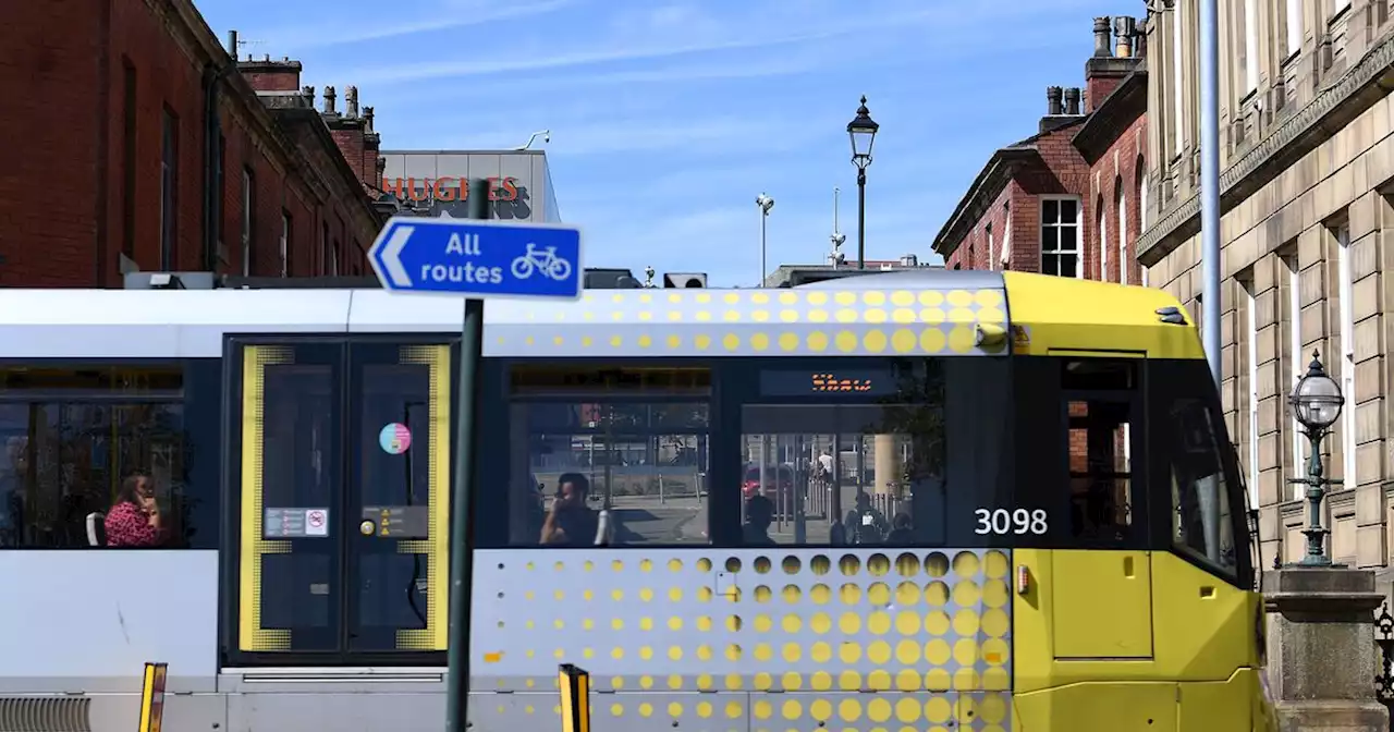 Fallen tree halts rush-hour Metrolink trams as passengers pile onto buses