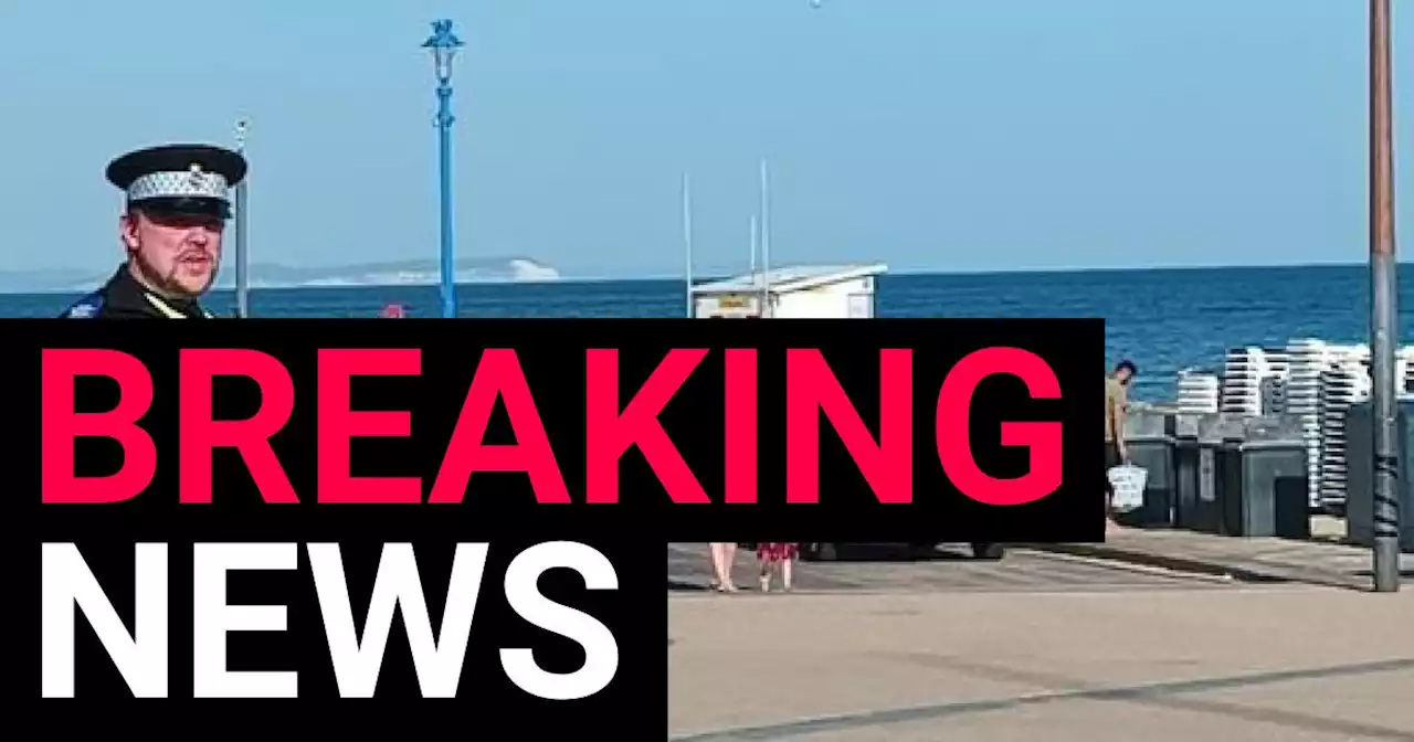 Boy, 17, and girl, 12, die after 'major incident' declared at beach