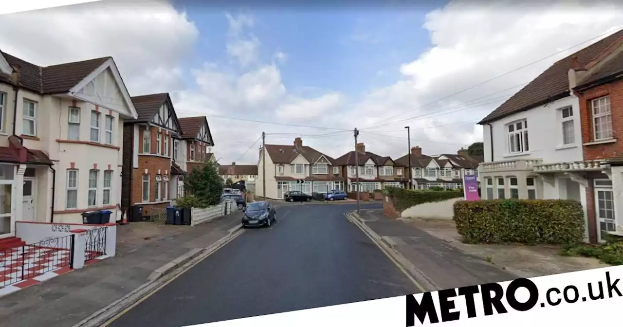 Hunt for owner after boy, 7, mauled by 'aggressive' German Shepherd