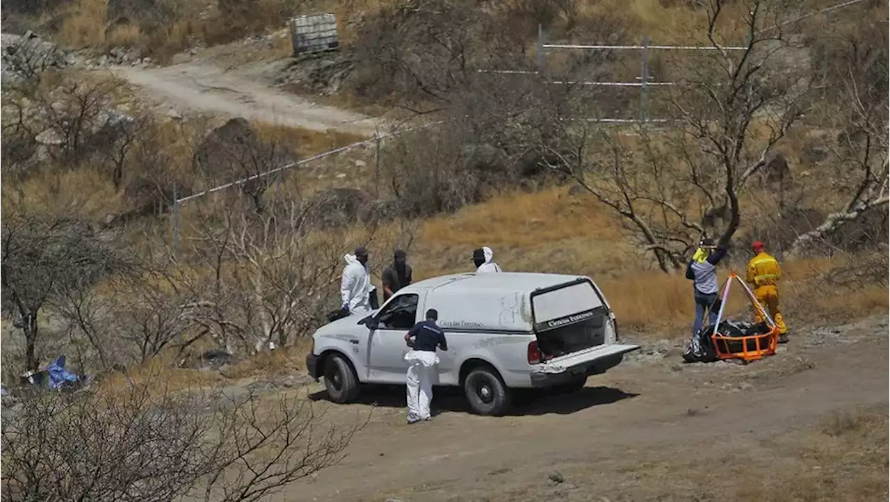 Zapopan. Suman 45 bolsas con restos humanos en Mirador Escondido