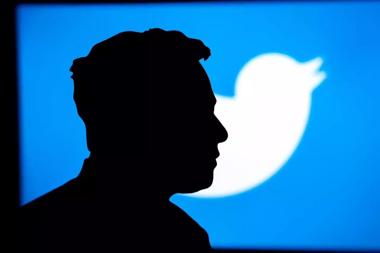 Why Elon Musk is on his longest tweeting break since start of 2023