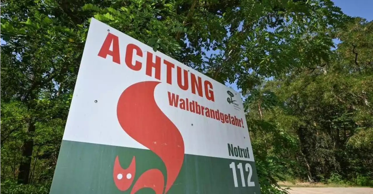 Hohe Waldbrandgefahr in Regensburg – Luftbeobachtung in Niederbayern