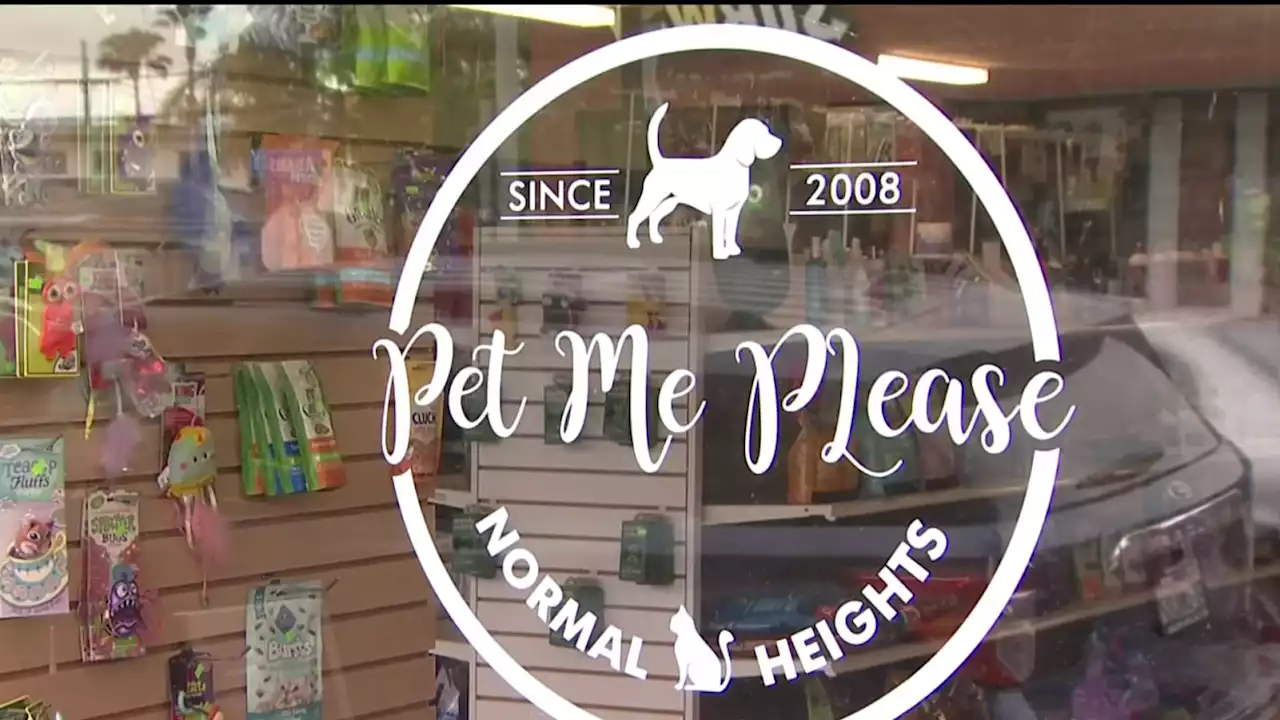 Accounting Error Leaves Normal Heights Pet Store Owner on Brink of Losing Business