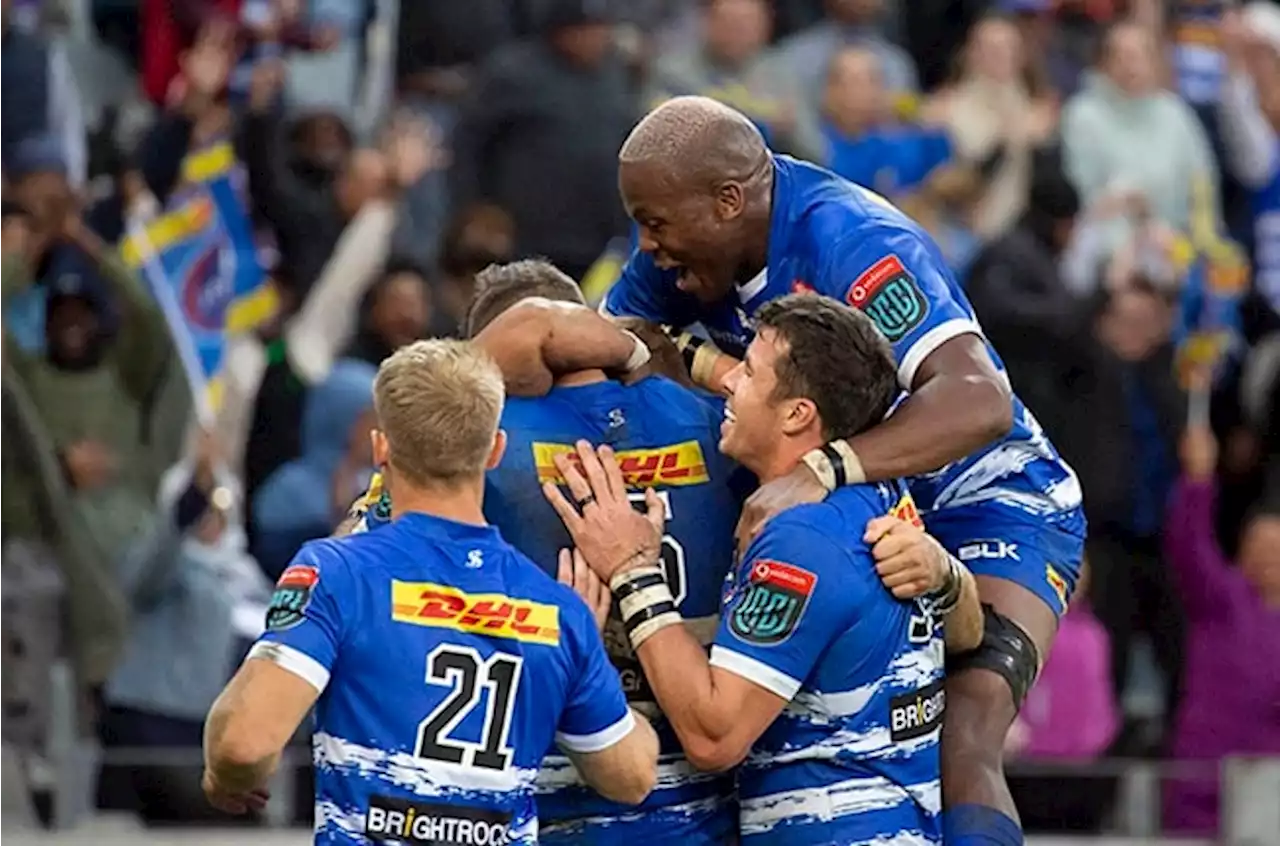 REPORT CARD | From sizzling Stormers to stumbling Sharks: How SA's franchises fared in Europe | Sport