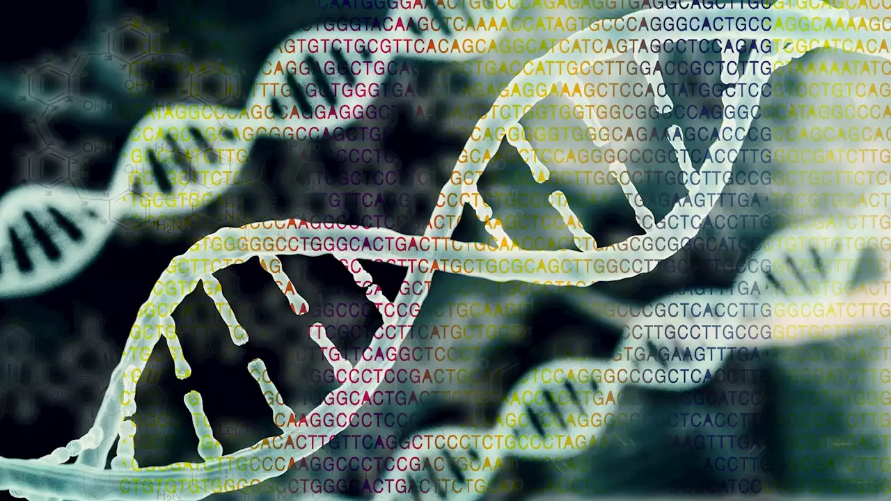 Multi-ethnic genome study unlocks new genetic links to health conditions