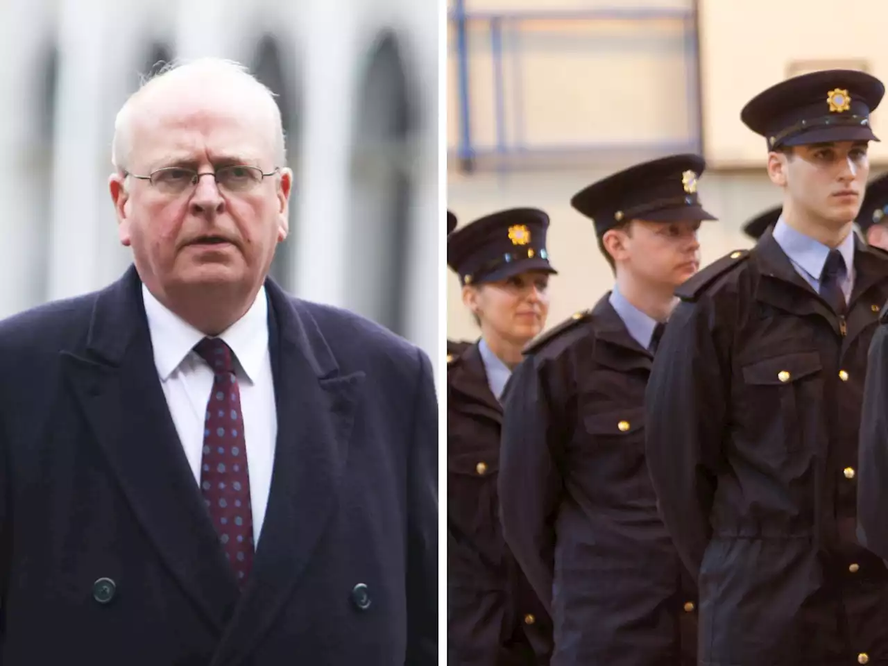 Garda Reserve facing 'official neglect' as numbers drop - McDowell