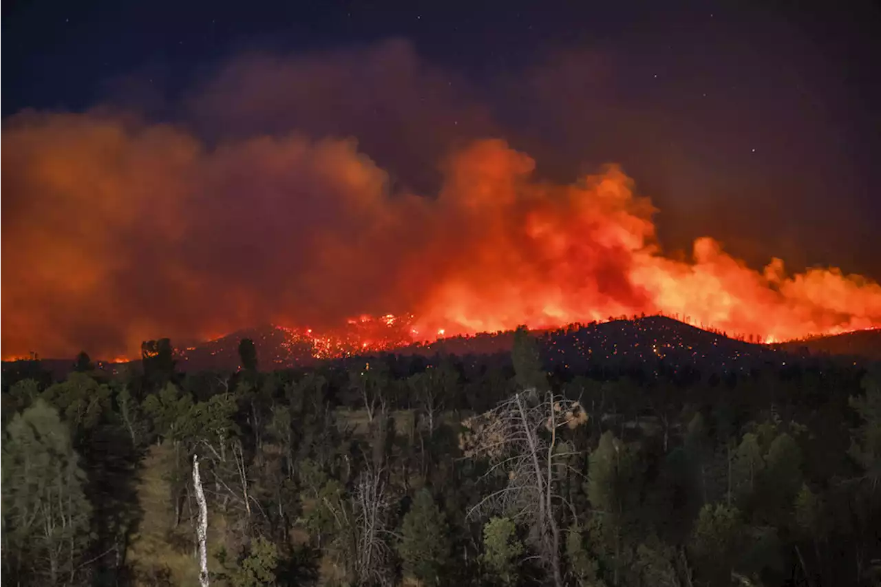 PG&E reaches Zogg fire settlement after criminal charges are dropped