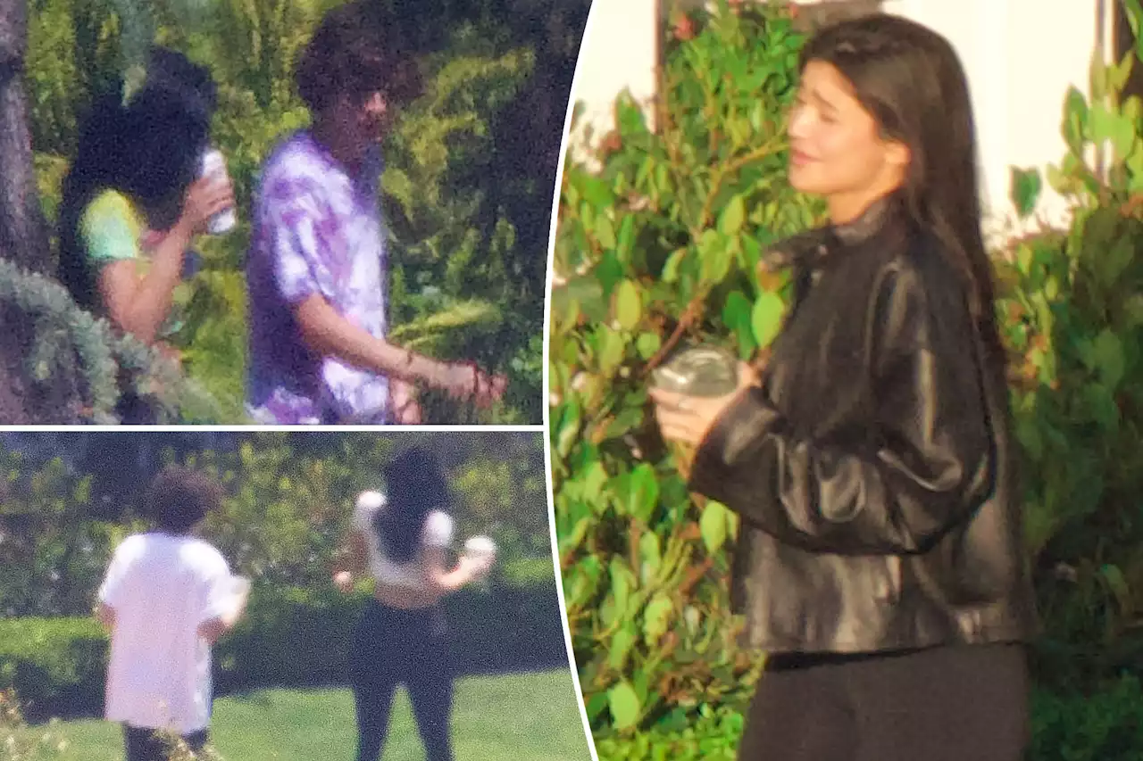 Kylie Jenner, Timothée Chalamet seen together for first time — with their famous sisters