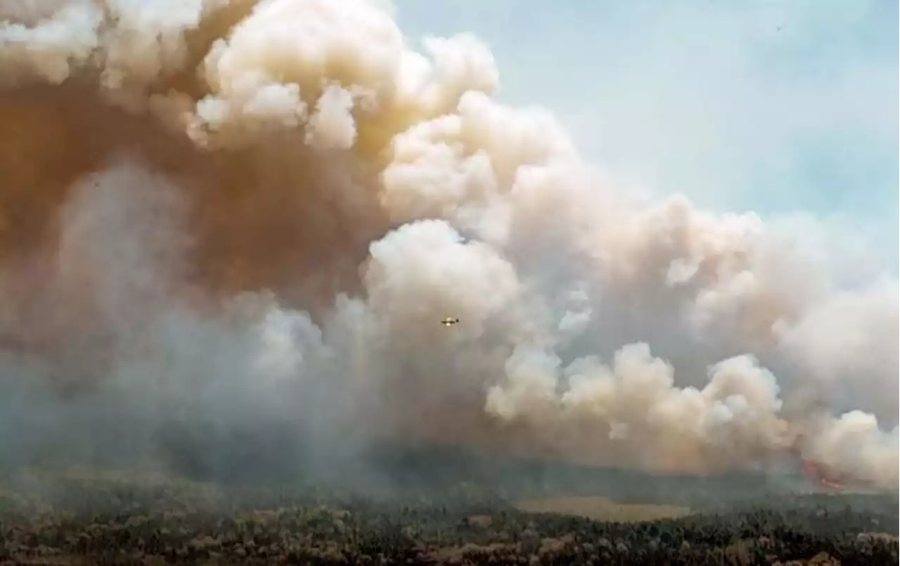 Firefighters from U.S., South Africa to help battle Canada's 'unprecedented' fires