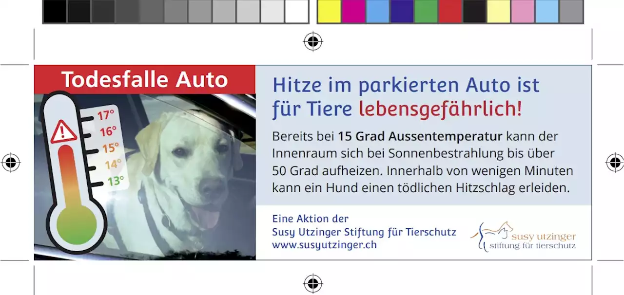 Todesfalle Auto – Ab 15 Grad Aussentemperatur wird es lebensgefährlich für Hunde in parkierten Autos