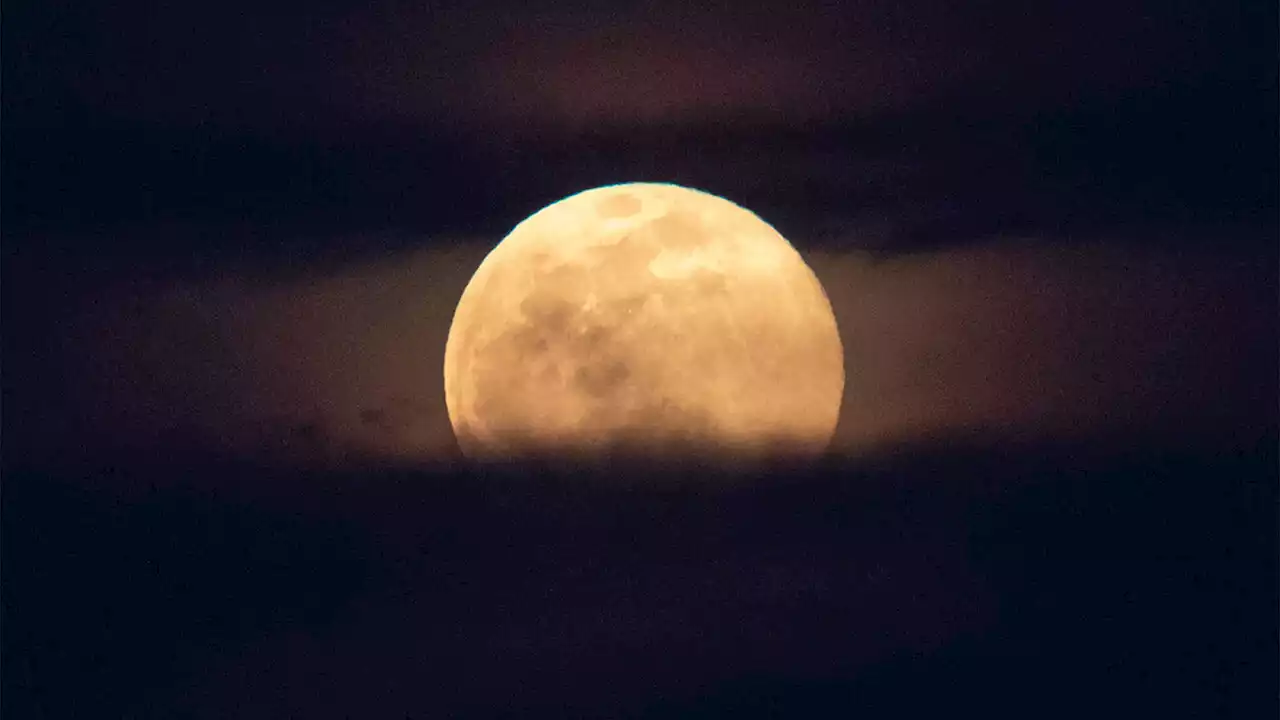 A Strawberry Moon, solstice, and meteor shower will dance across the skies this June