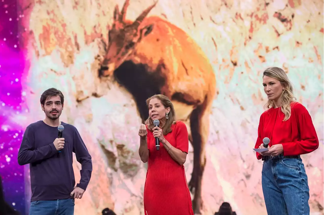 Cabras escalam penhasco, comem parede e impressionam auditório do Faustão