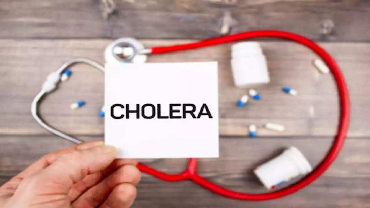 Mpumalanga records first cholera case - SABC News