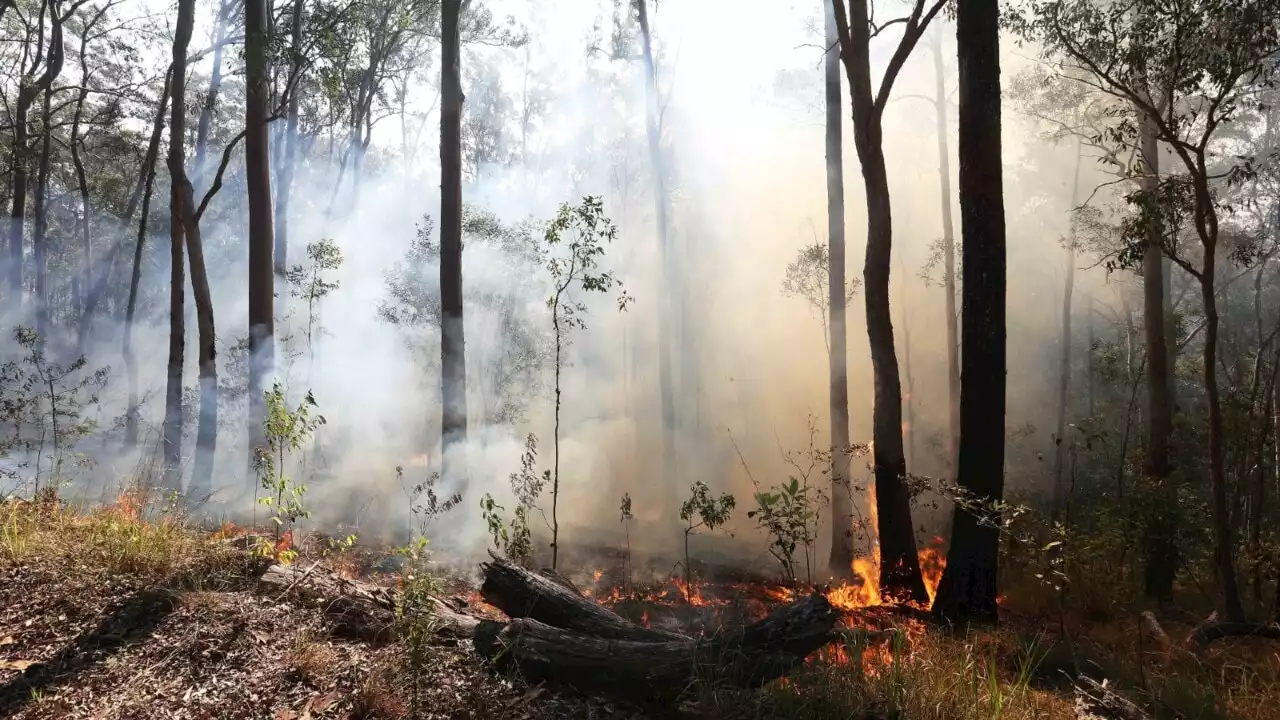 &#8216;Hazard creation burning&#8217;: Qld government fails to measure health effects of burn-offs