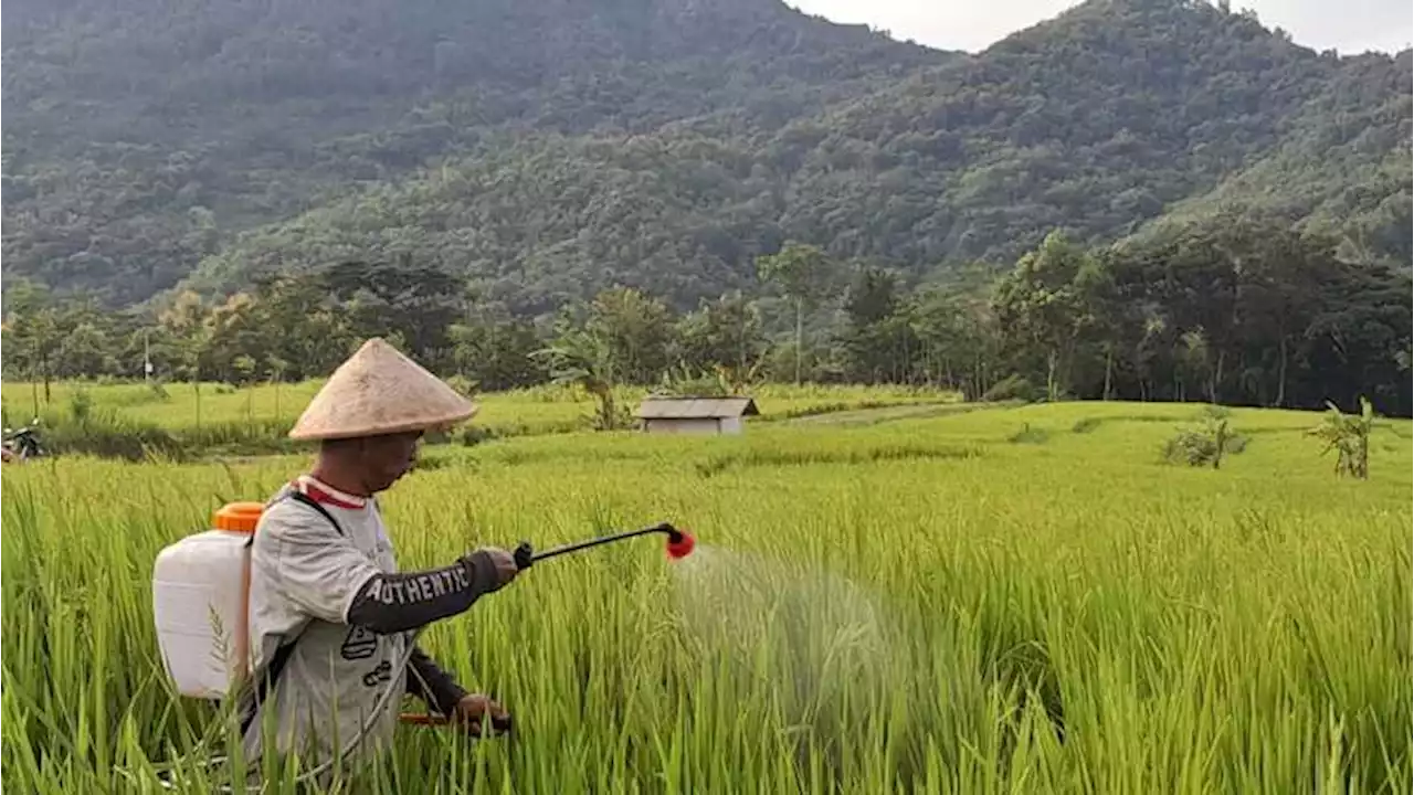 Ironi Pertanian Wonogiri, Jadi Penyumbang PDRB sekaligus Kemiskinan Tertinggi