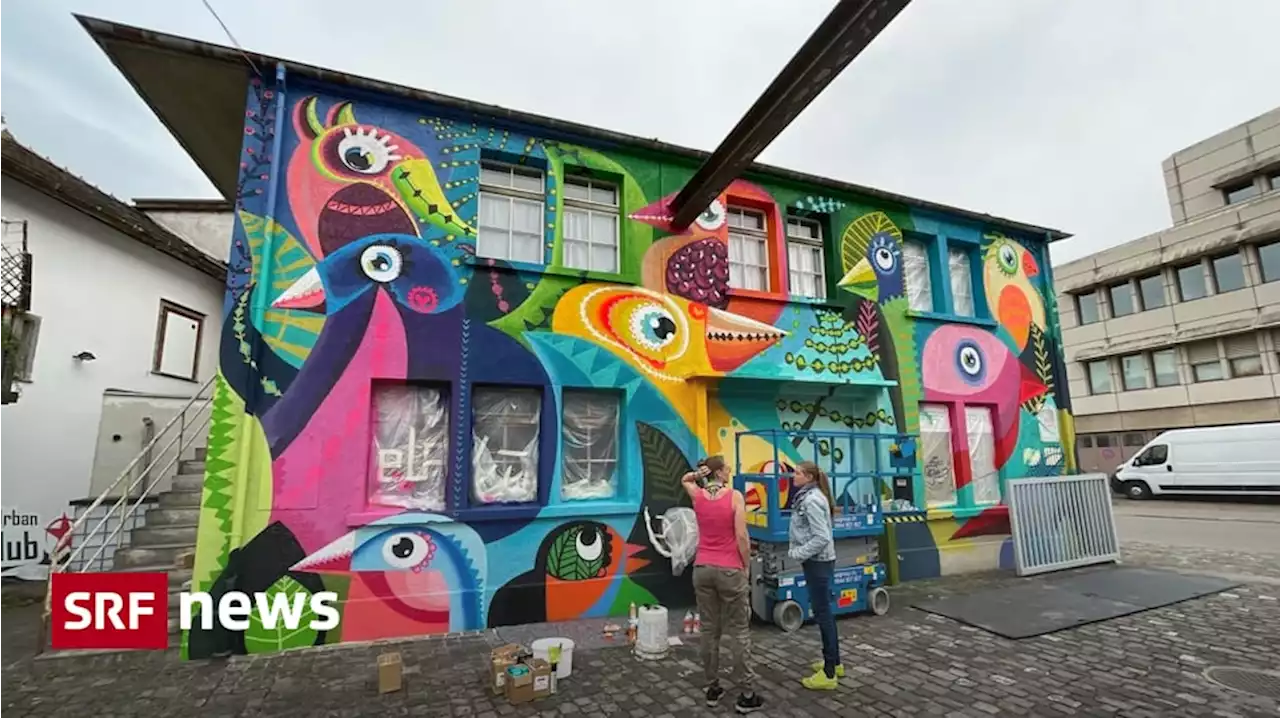 Graffitis in der ganzen Stadt - Frauenfeld wird zur grössten Street-Art-Galerie der Schweiz