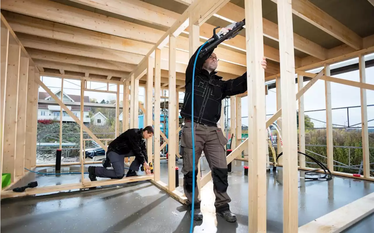 Contractors, Carpenters, Plumbers To Be Given Immigration Priority