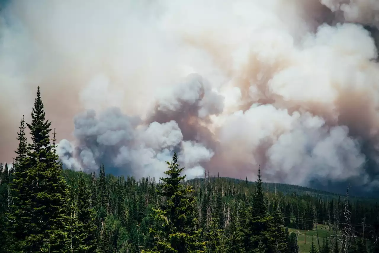 Restricted fire zone in effect across much of Northern Ontario