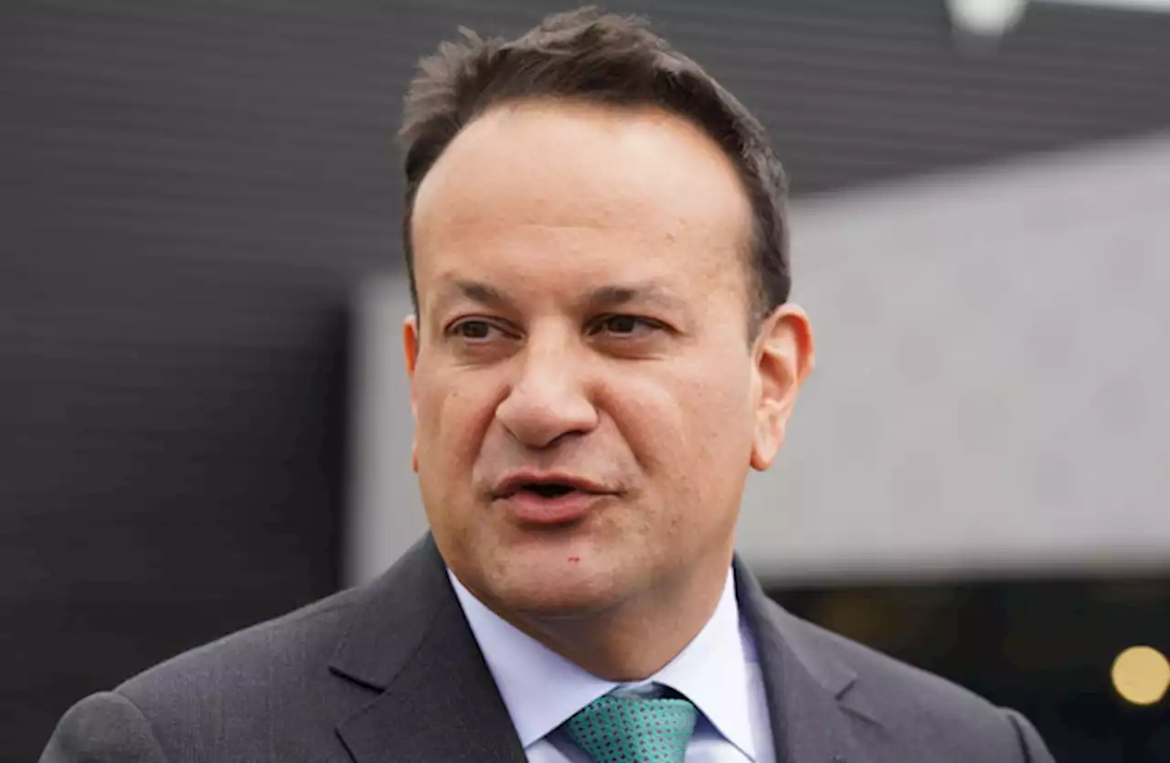 Taoiseach suggests Dáil vote for PBP abortion bill could speed up legal changes