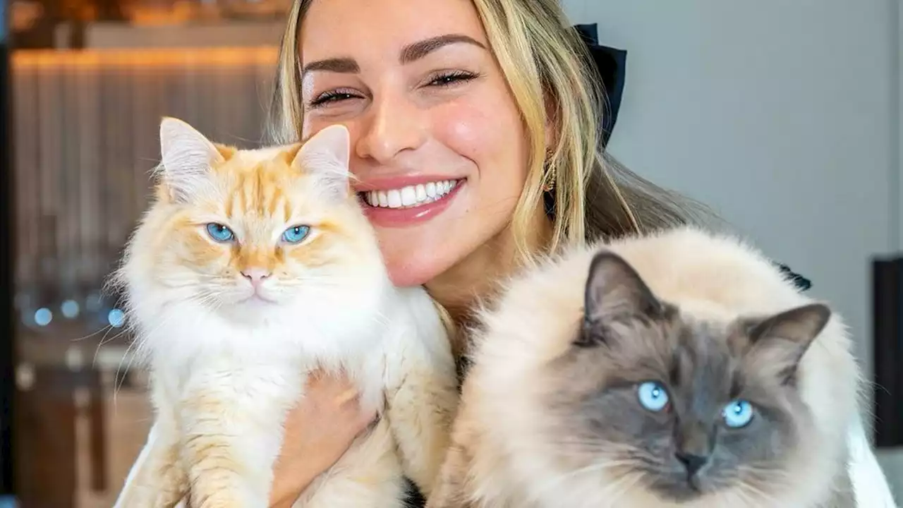 Love Island's Zara McDermott reveals 'breakdown' after beloved cats 'go missing'